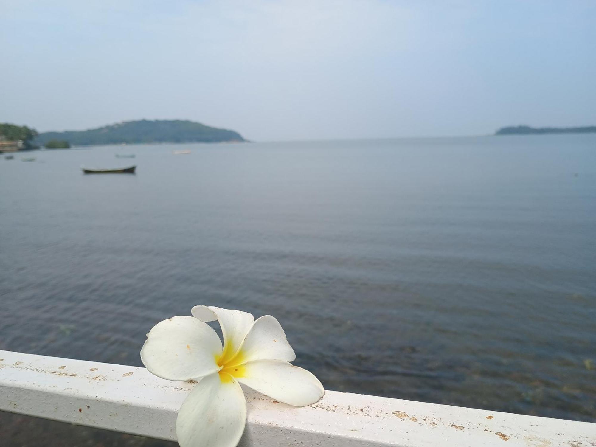 Gs Home On The Bay - Super Sea View Glass Studio Apartment 바가토르 외부 사진